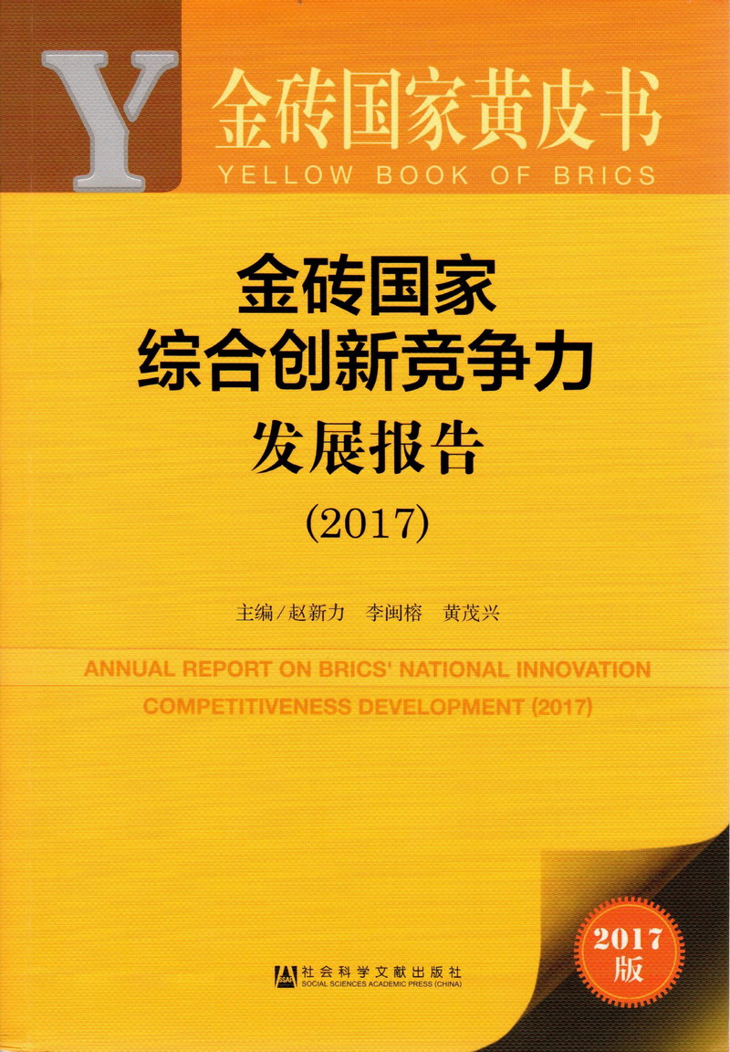 就要干逼视频金砖国家综合创新竞争力发展报告（2017）